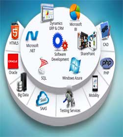 Software Development firm