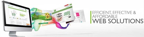 Best Web Designing and Solution